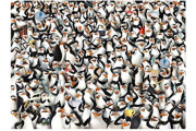 Clementoni "Impossible Die Pinguine Aus Madagascar" Puzzle (1000 Piece)