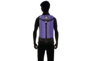 Gregory Backpack Official Summit Day - Ultra Violet