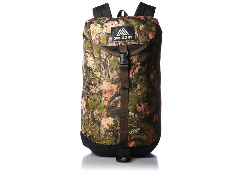 Gregory Backpack Official Summit Day - Cottonwood duck