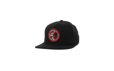Vans x Spitfire Black Snap-Back Hat