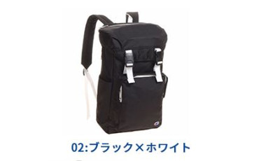 Champion Backpack 52893
