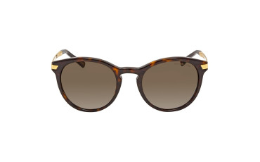 Polarized Brown Gradient Ladies Sunglasses MK2023 3106T5