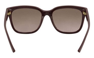 Brown Rose Gradient Sunglasses TY9050 168114