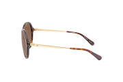 Brown Gradient Round Sunglasses