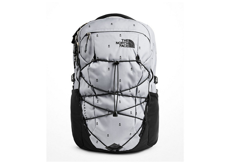 Borealis Backpack (賣家預計23/1發貨)