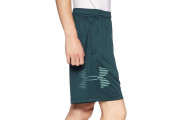 Under Armour Tech Graphic Novelty Shorts