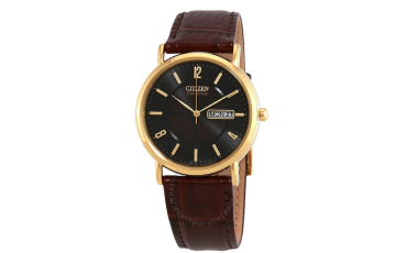 Eco Drive Black Dial Brown Leather Men's Watch
