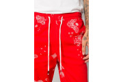 Elwood RED PAISLEY STRETCH TWILL JOGGER