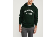 Abercrombie & Fitch Applique Logo Hoodie