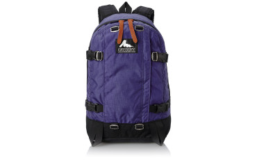 Gregory backpack all day - Ultra Violet
