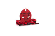 Rastaclat Chicago Bulls Bracelet
